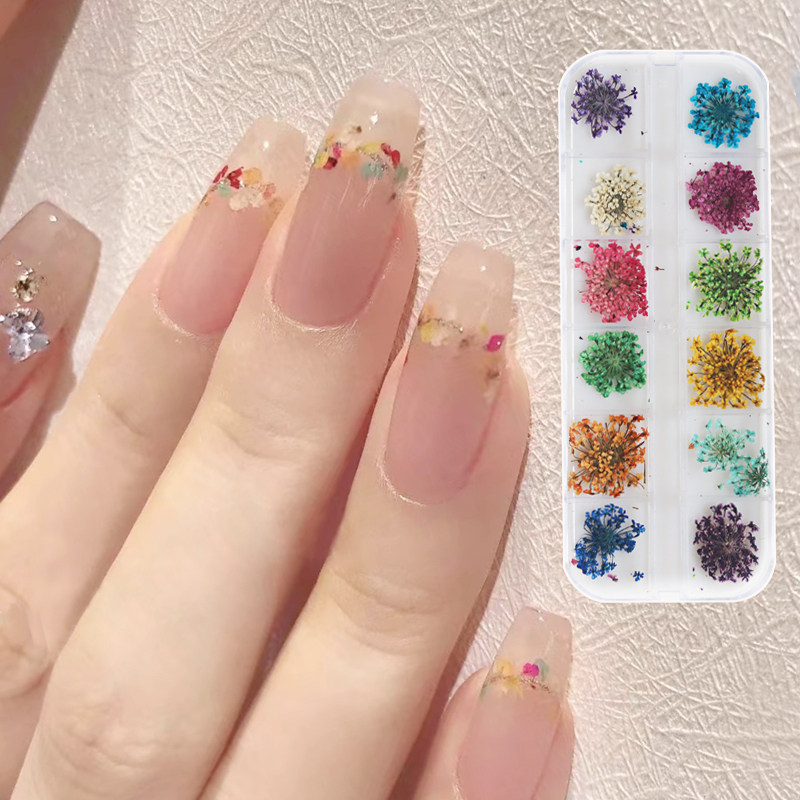 日系美甲干花饰品小花瓣新娘甲裸色温柔显白满天星五瓣花指甲装饰