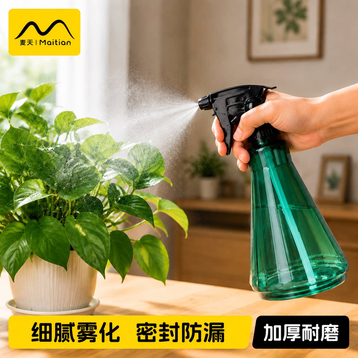 浇水喷壶园艺植物多肉