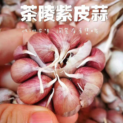 湖南特产茶陵可以做3斤紫皮大蒜
