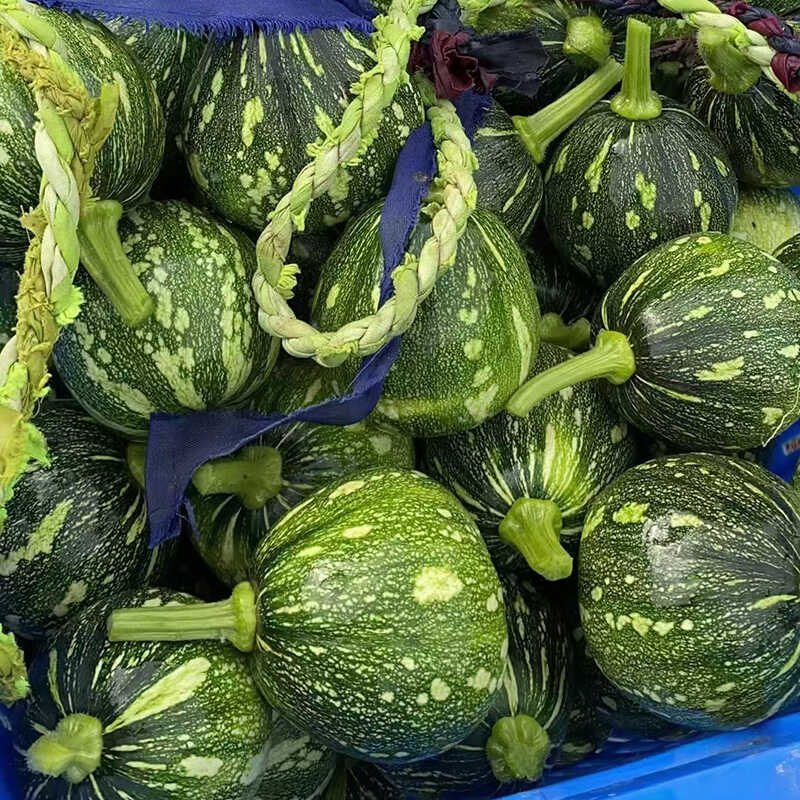 湖南本地南瓜仔新鲜现摘