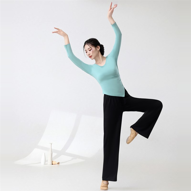 精选广场舞新款演出服短袖v黑色莫代尔上衣跳舞练功服舞蹈服女学