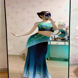 新款傣族舞蹈g演出服练功裙成人傣族表演服彩云之南鱼尾艺考服装