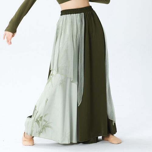 新款夏季新款古典舞纱衣女练功服成人长袖舞蹈服飘U逸演出服现代