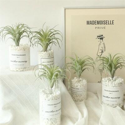 空气草凤梨草仿真花厂家家居装饰婚庆手捧花墙植物墙假花MW17691