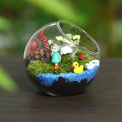 创意多肉苔藓微景观桌面玻璃瓶