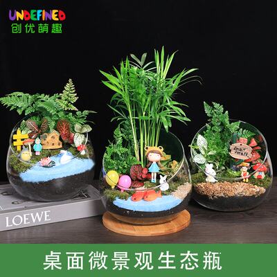 苔藓微景观盆栽绿植diy材料包桌面迷你植物创意玻璃球生态瓶套装