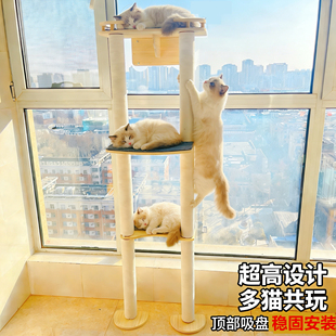 观景台猫爬架吸盘猫窝宠物猫树剑麻用品小型大型窗户猫跳台猫吊床