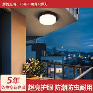 室外吸顶灯防水防虫别墅门口灯入户大门灯庭院雨棚露台阳台吸顶灯
