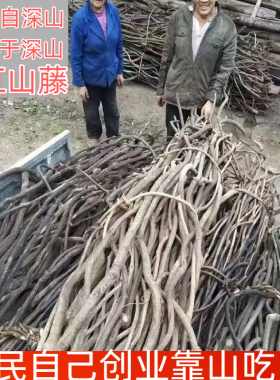 树藤枯藤婚庆家具管道装饰藤条