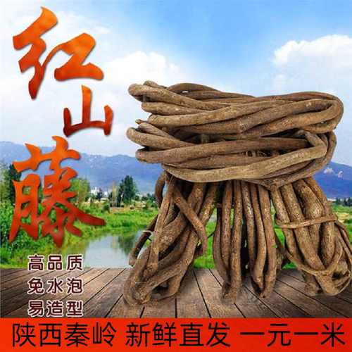 婚庆管道葡萄叶假植物装饰树藤