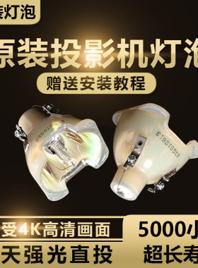 NEC NP38LP/NP39LP NP-CR5450H/CR5450WP452H/P452W/P502H/PA653U+/P502WL+/P502HL/P502W投影机仪灯泡