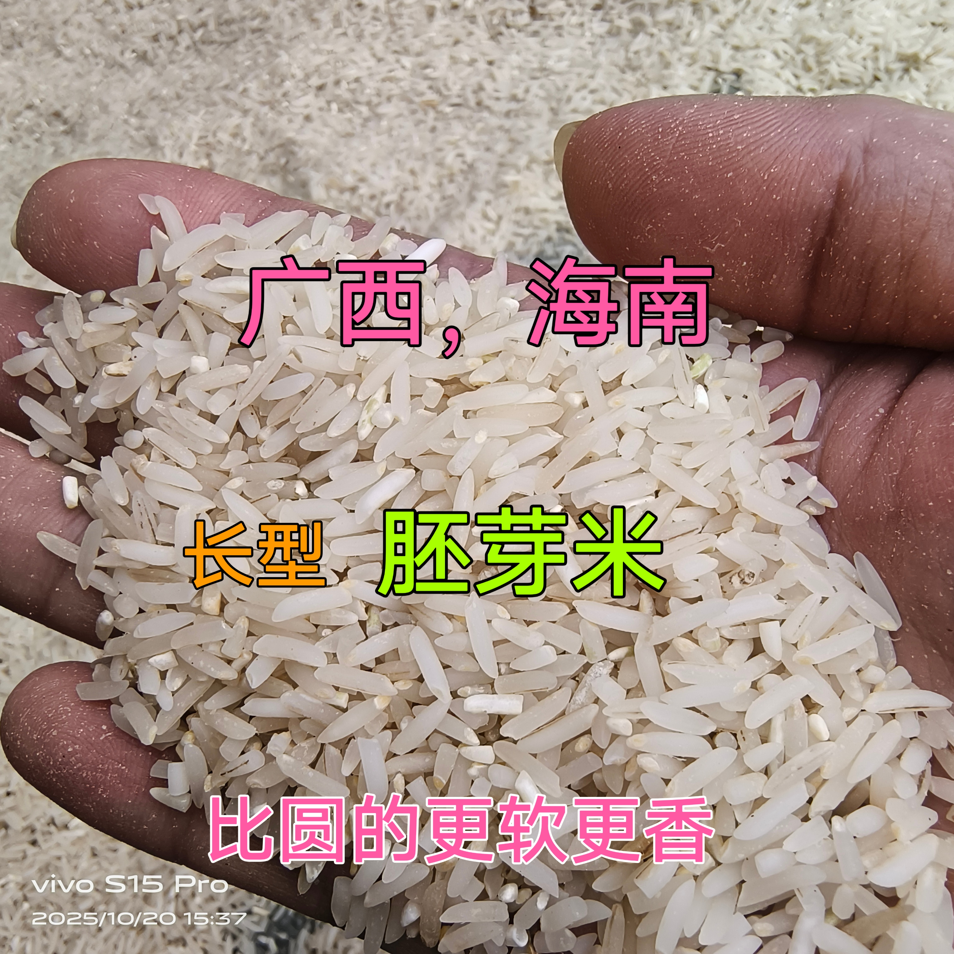 2025年新米现磨胚芽米糙米大米广西海南5千克1斤