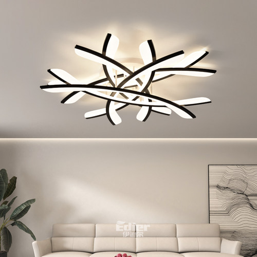 亚克力异形全光谱护眼客厅吸顶灯