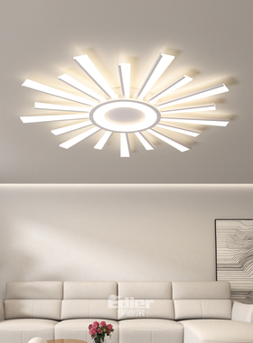 简约现代大气客厅卧室吸顶灯个性主卧室书房极简铝材新款LED灯具