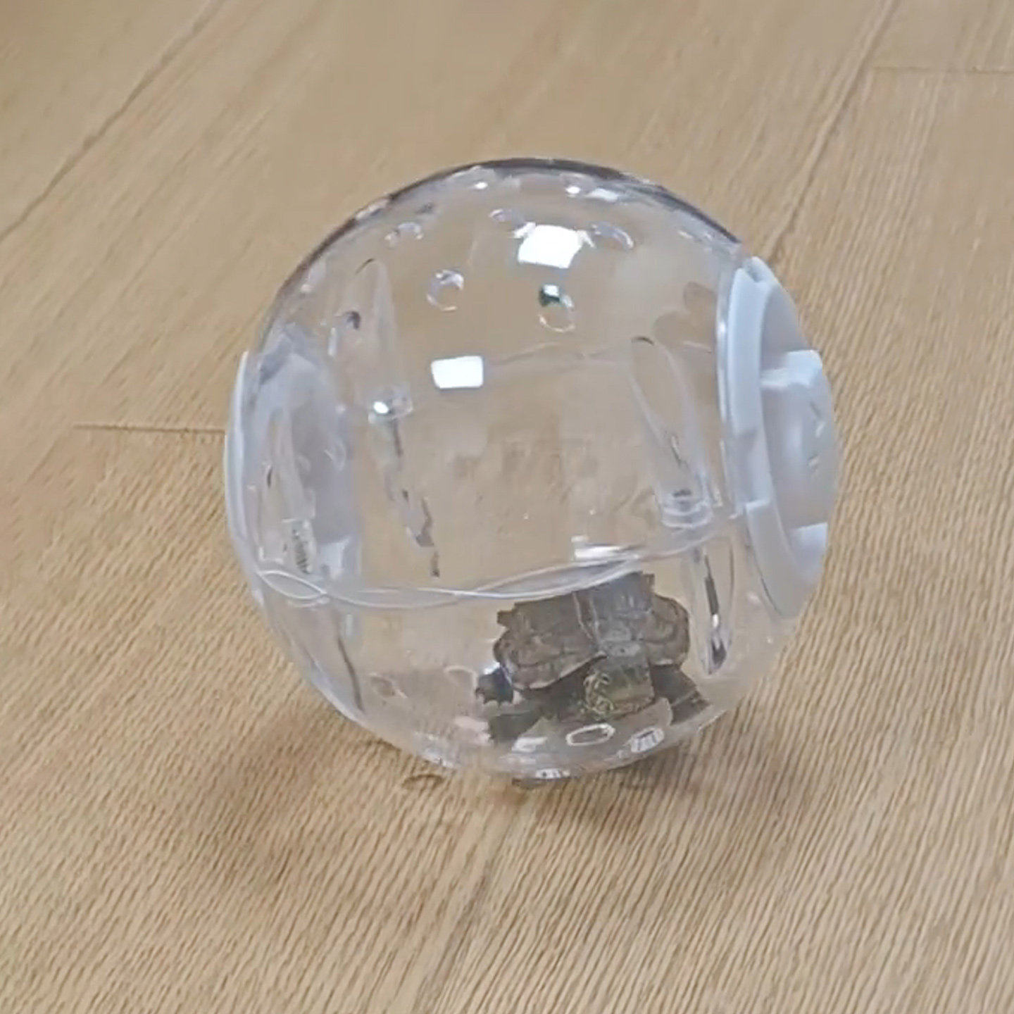 乌龟滚球玩具逗龟神器爬宠互动玩具巴西龟草龟外带笼造景装饰摆饰