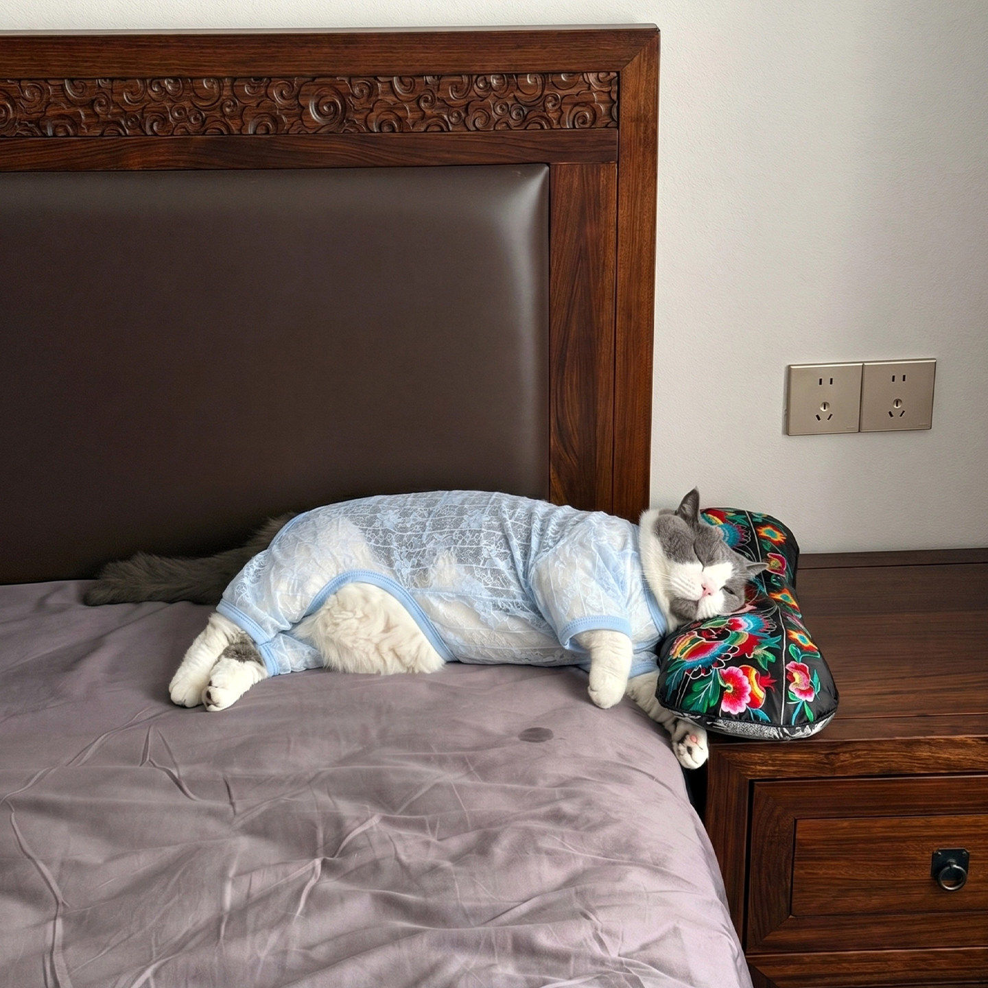 猫咪衣服夏季薄款透气防掉毛超轻薄网纱弹力四脚衣猫狗床上睡衣