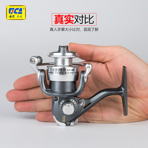 迪佳迷你小渔轮gv800特小矶竿