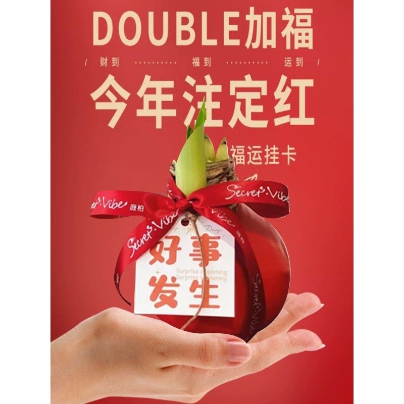 朱顶红蜡球礼盒好运封冬礼品开花年宵花卉封蜡朱顶红送礼植物蜡球,鲜花速递/花卉仿真/绿植园艺,绿植,淘宝优惠券,粉丝福利购,淘宝优惠卷