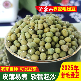 逸得农品毛绿豆2025新货沂蒙山农家老品种笨绿豆易煮出沙可生豆芽