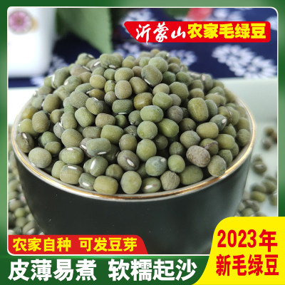 毛绿豆2023新货易煮沙糯可发豆芽