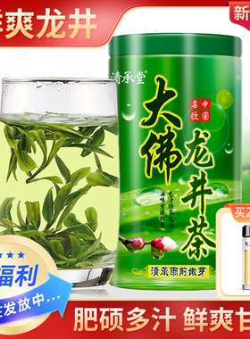 高品质 清承堂雨前龙井茶2025新茶绿茶茶包茶叶礼盒装散装250克