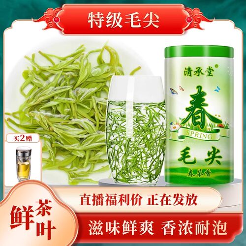 清承堂特级散装毛尖250g绿茶