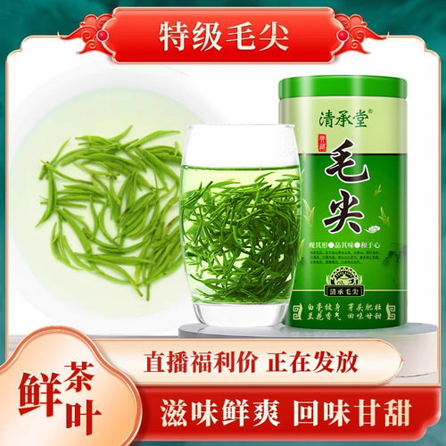 清承堂明前特级毛尖早春散装茶叶