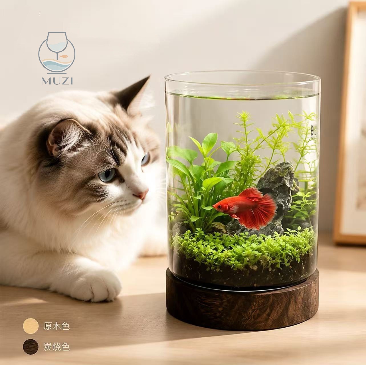 直筒玻璃鱼缸实木底座桌面微景观生态瓶斗鱼造景缸居家创意摆件缸