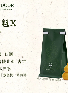 ANYDOOR COFFEE25产季埃塞花魁X手冲浅烘杏桃草莓花香100g咖啡豆