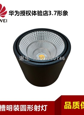 适用于华为授权体验店20W 4000K灯槽黑色圆形吸顶射灯Φ110*H100