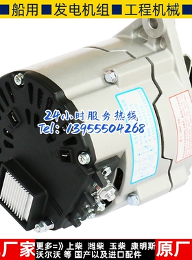 上柴股份柴油机发电机充电机S00020217+02原厂配件