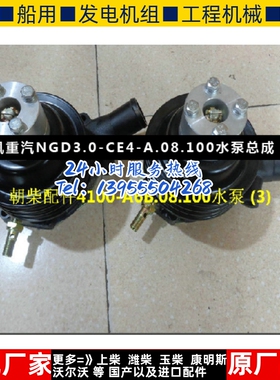 东风江淮重汽福田朝柴配件4100-A6B.08.100水泵