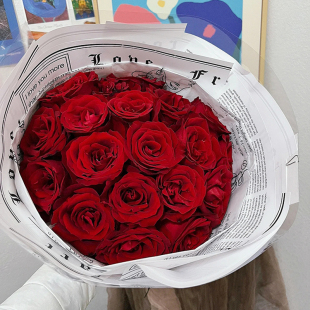 阳台庭院花卉绿植盆. 优选 花园切花月k季 法兰西 红色耐开四季