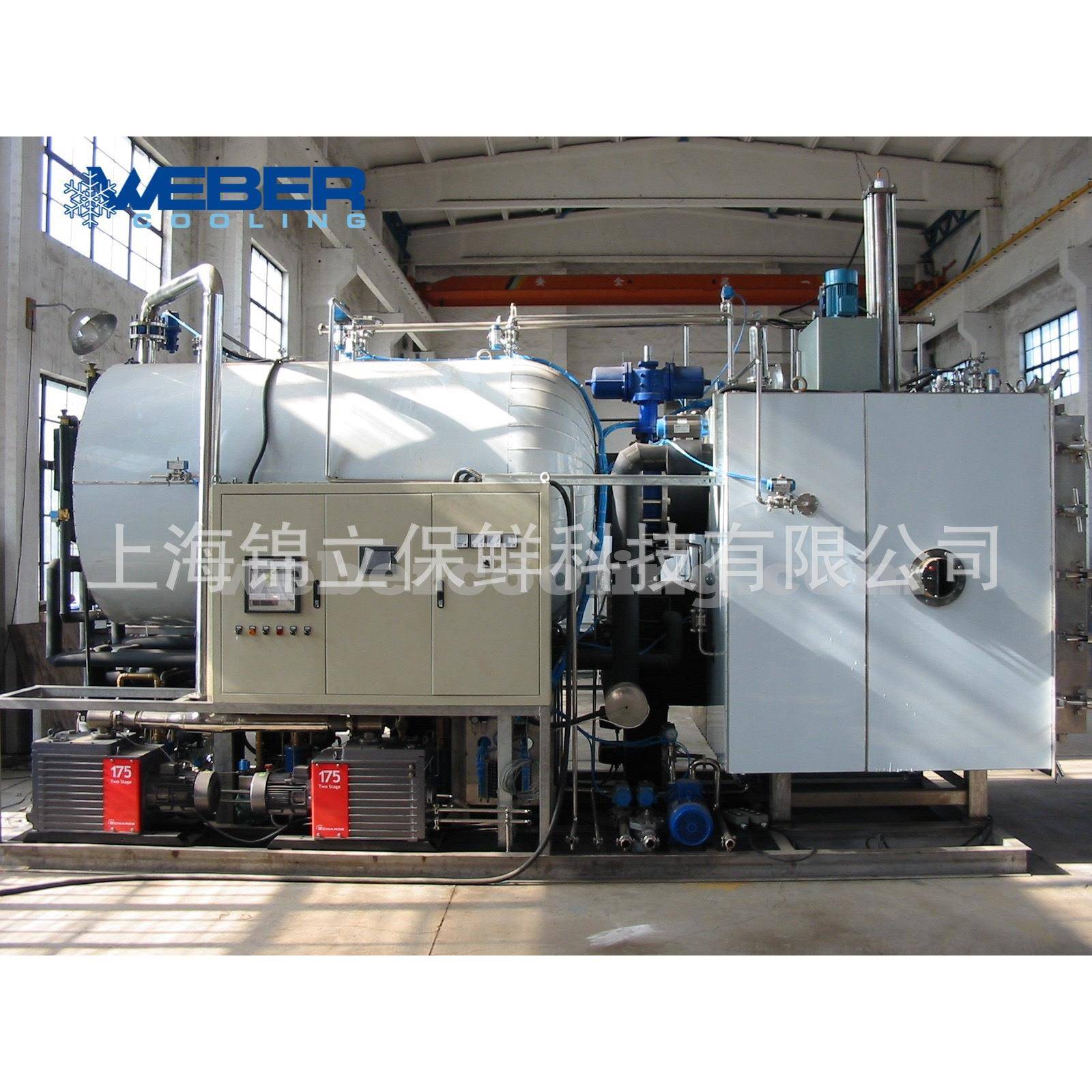 高温食品快速冷却机 不锈钢真空机 适用红烧肉、卤牛肉等保鲜机