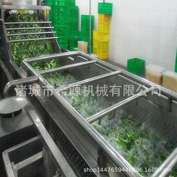 优惠油菜菠菜鼓泡清洗机 全自动蔬菜清洗机 花椒大枣清洗机厂家