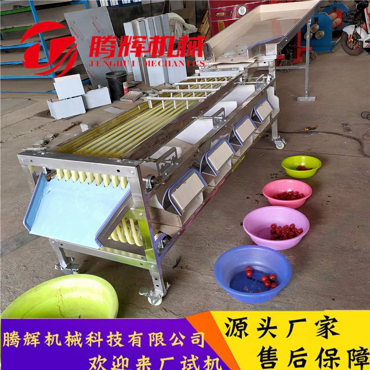 千禧圣女果分级机 规格齐全 红果选果机 海南圣女果分选机