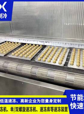 冰雪供应隧道式速冻机 食品车间生产线速冻设备 调料品速冻流水线