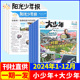 报纸春夏秋冬合订本作文素材书中小学生新闻时事1 9年级书非过刊杂志 阳光少年报小学生版 全年期发 阳光大少年初中版 2024年新刊