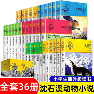 禮盒裝 狼王夢沈石溪著動物小說全集品藏書系9 12歲小學生四五六年級課外經典 閱讀書斑羚飛渡第七條獵狗最后一頭戰象 全套36冊正版