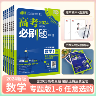 高考必刷题专题版 2024新版 数学1函数与导数23数列与不等式 4立体几何5解析几何6计数原理 新高考专题突破数学分题型强化全国通用