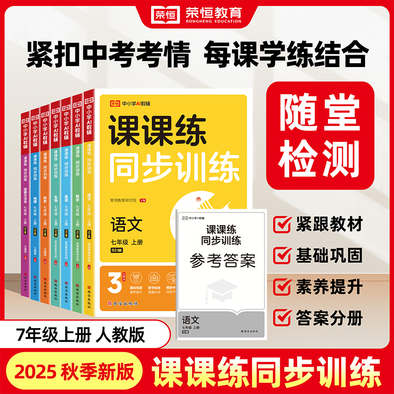 2025新课课练同步训练人教版