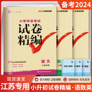 六年级练习册小升初专项训练真题模拟试卷资料总复习教辅书 2024小学毕业考试试题试卷精编分类精粹语文数学英语小学6 江苏专用