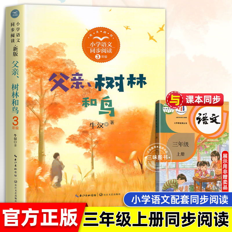 父亲树林和鸟长江文艺三年级