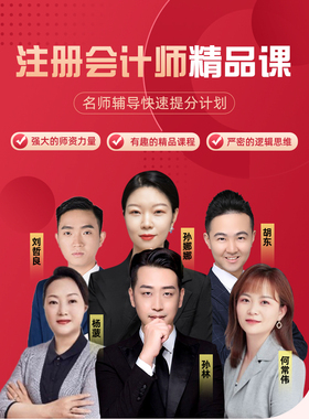 2024年注册会计师注会CPA会计财管税法网课视频课件网络全课程2024cpa网络课程注会考试网课注册会计师视频课程件教材精讲笔记