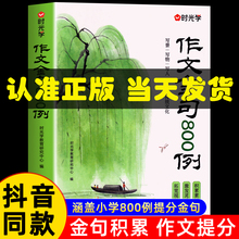 时光学作文金句八百例小学生作文800例用万能公式写优秀作文好词好句好段三四五六年级语文同步写作技巧高分1-3年级金句素材积累书