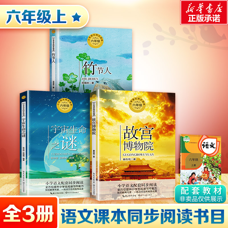 小学同步阅读书六年级上册小学生