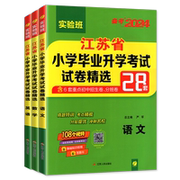 江蘇省小升初畢業(yè)試卷精選28套卷