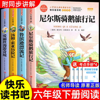 全套4册骑鹅旅行记六下必读