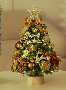圣诞节装饰品家用小型圣诞树客厅桌面摆件2025新款套餐diy迷你树
