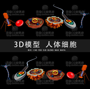 G900-C4D/MAYA/3DMAX人体红 细胞精子卵子神经元噬菌体3D模型素材